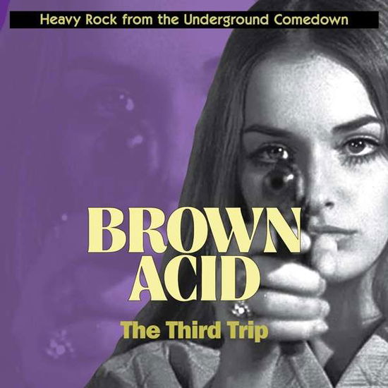 Cover for Brown Acid: Third Trip / Various (LP) (2016)