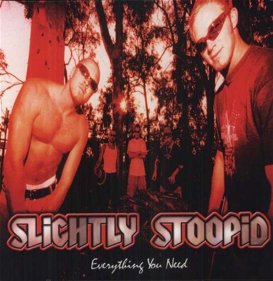 Cover for Slightly Stoopid · Everything You Need (LP) [Coloured edition] (2012)