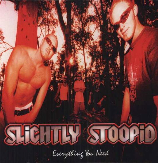 Everything You Need - Slightly Stoopid - Musik - BMG Rights Management LLC - 0640424999414 - 1. maj 2012