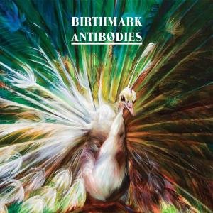 Cover for Birthmark · Antibodies (LP) (2012)