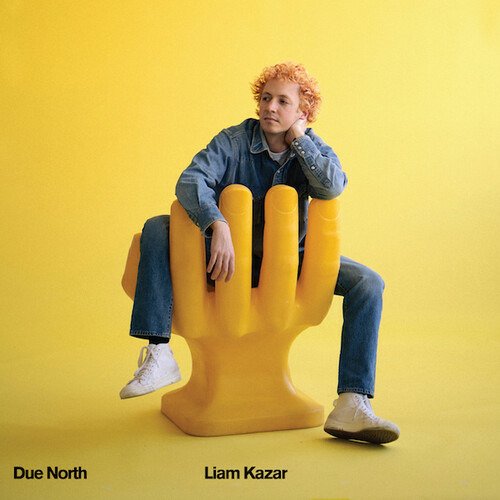 Cover for Liam Kazar · Due North (LP) (2021)