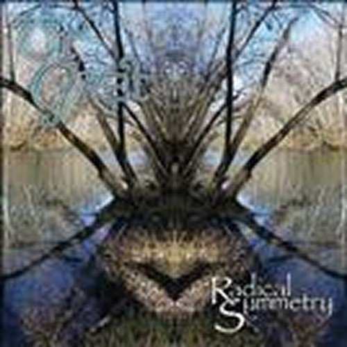 Cover for Ut Gret · Radical Symmetry (CD) (2011)