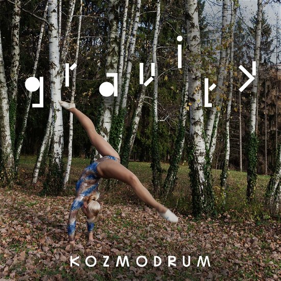 Cover for Kozmodrum · Gravity (LP) (2019)