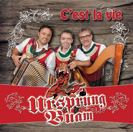 CEst La Vie - Ursprung Buam - Muzyka - HOBEG - 4039967010414 - 10 marca 2017