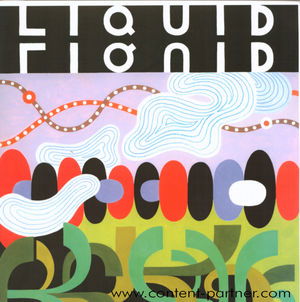 Cover for Liquid Liquid · Slip In And Out Of The Phenomenon (LP) [Deluxe edition] (2008)