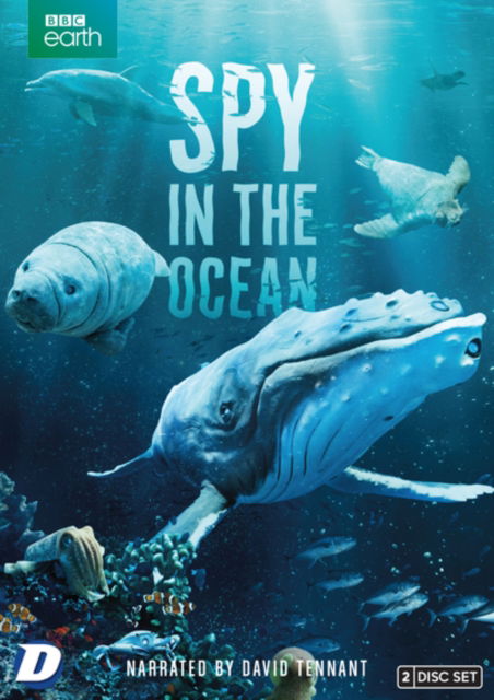 Spy In The Ocean - Spy in the Ocean DVD - Movies - Dazzler - 5060797575414 - September 4, 2023