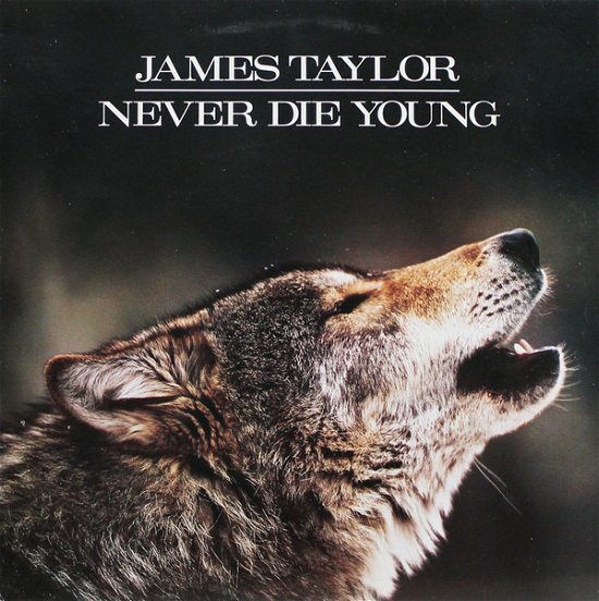 James Taylor-never Die Young - LP - Muziek -  - 5099746043414 - 