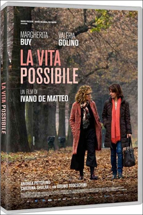 Cover for Vita Possibile (La) (DVD)