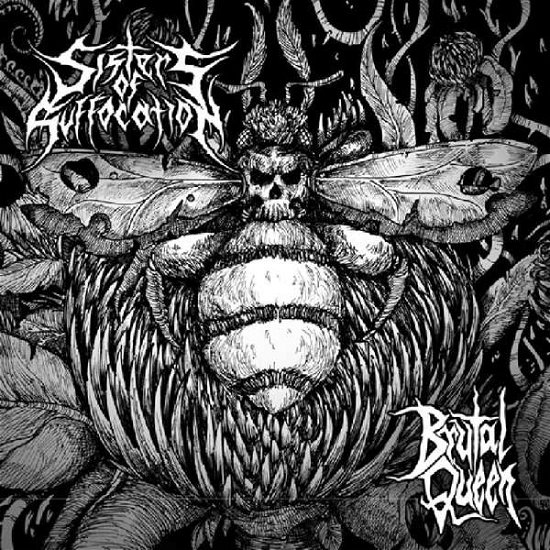 Cover for Sisters of Suffocation · Brutal Queen (LP) (2016)