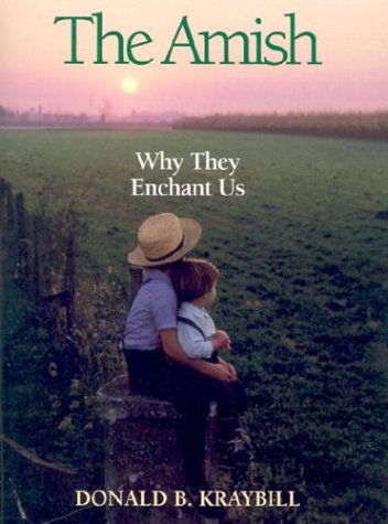 Cover for Kraybill Donald · Amish: Why They Enchant Us (Paperback Book) (2003)