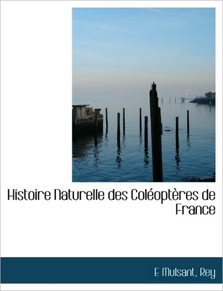 Histoire Naturelle Des Coléoptères De France - Rey - Bücher - BiblioLife - 9781115016414 - 1. September 2009