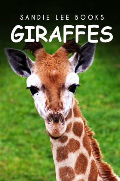 Cover for Curious Kids Press · Giraffes - Sandie Lee Books (Paperback Book) (2014)
