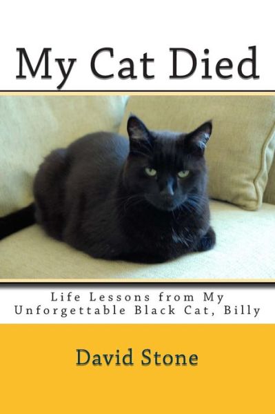 Cover for David Stone · My Cat Died: Life Lessons from My Unforgettable Black Cat, Billy (Paperback Book) (2015)