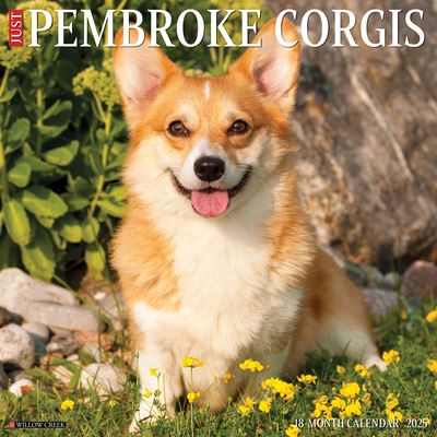 Just Pembroke Corgis 2025 12 X 12 Wall Calendar - Willow Creek Press - Marchandise - Willow Creek Press Calendars - 9781549244414 - 10 septembre 2024