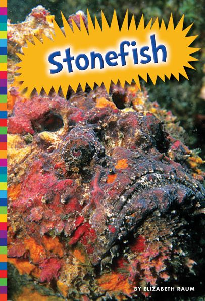 Cover for Elizabeth Raum · Stonefish (Buch) (2015)