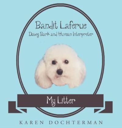 Cover for Karen Dochterman · Bandit Laferue (Hardcover Book) (2017)