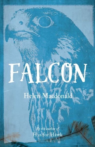 Cover for Helen Macdonald · Falcon (Paperback Bog) [2 Revised edition] (2016)
