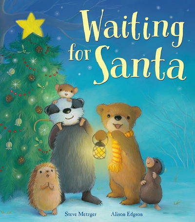 Cover for Steve Metzger · Waiting for Santa (Hardcover Book) (2015)