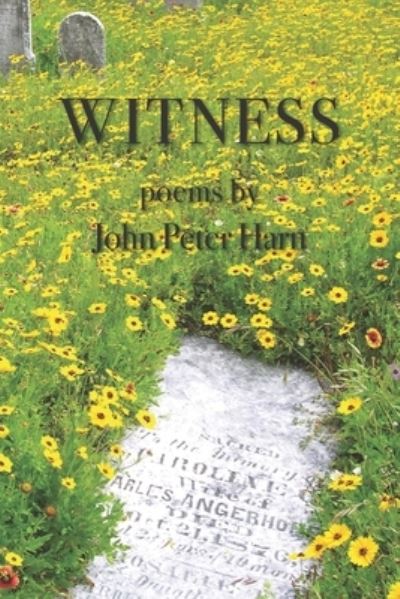 Cover for John Peter Harn · Witness (Taschenbuch) (2019)