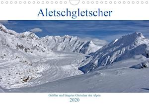 Cover for Vogler · Aletschgletscher - Größter und l (Book)