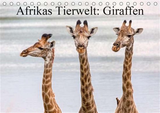 Cover for Voß · Afrikas Tierwelt: Giraffen (Tischka (Buch)