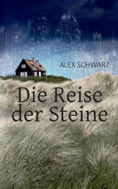 Die Reise der Steine - Schwarz - Bøker -  - 9783743138414 - 4. desember 2017