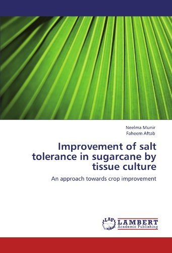 Cover for Faheem Aftab · Improvement of Salt Tolerance in Sugarcane by Tissue Culture: an Approach Towards Crop Improvement (Taschenbuch) (2012)