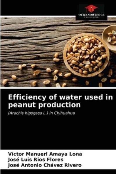 Cover for Víctor Manuerl Amaya Lona · Efficiency of water used in peanut production (Paperback Book) (2021)