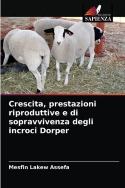 Cover for Mesfin Lakew Assefa · Crescita, prestazioni riproduttive e di sopravvivenza degli incroci Dorper (Paperback Book) (2021)