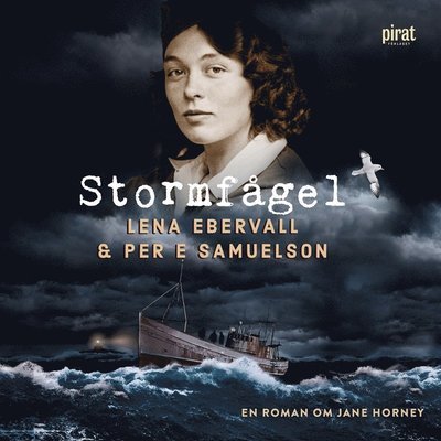 Cover for Ebervall &amp; Samuelson, · Stormfågel (Audiobook (MP3)) (2020)