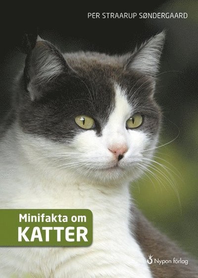 Cover for Per Straarup Søndergaard · Minifakta om ...: Minifakta om katter (Innbunden bok) (2016)