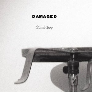 Cover for Lambchop · Damaged (LP) (2006)