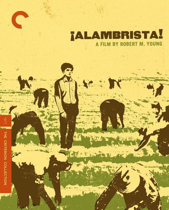 Cover for Criterion Collection · Alambrista/bd (Blu-ray) [Widescreen edition] (2012)