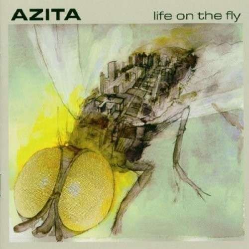 Life On The Fly - Azita - Music - DRAG CITY - 0718484026415 - August 17, 2016