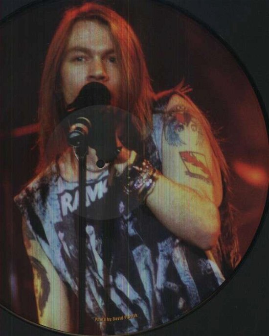 Cover for Hollywood Rose · Roots Of Guns 'n' Roses (LP) [Picture Disc, Limited edition] (2012)