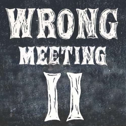 Cover for Two Lone Swordsmen · Wrong Meeting Vol.2 (LP) [Limited edition] (2007)