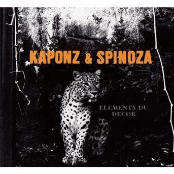 Cover for Kaponz &amp; Spinoza · Elements Du Decor (CD)