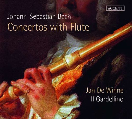 Cover for Jan De Winne / Il Gardellino · Concertos With Flute (CD) (2018)