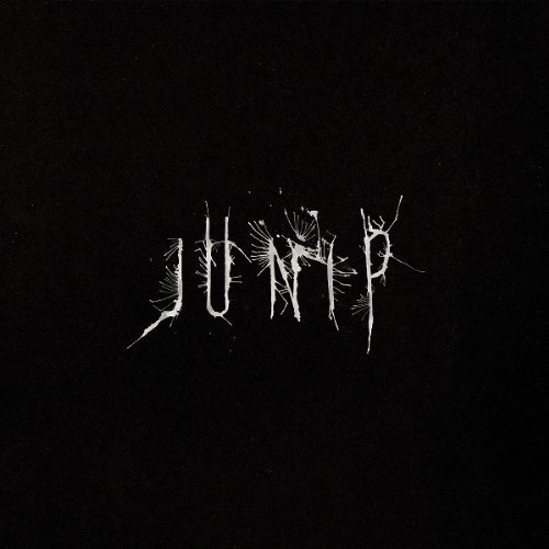Cover for Junip (CD) [Digipak] (2013)