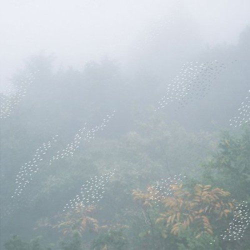 Cover for Chihei Hatakeyama · Mist (CD) [Japan Import edition] (2021)