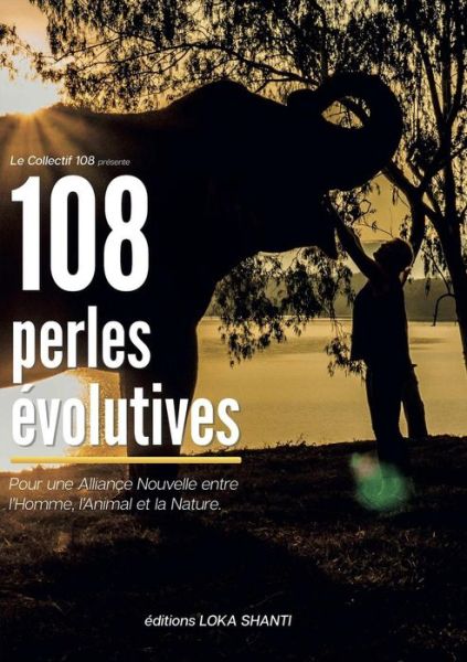 Cover for Collectif 108 · 108 Perles Evolutives (Paperback Book) (2017)