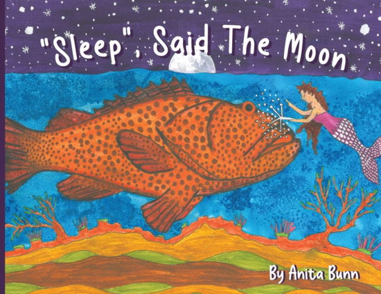 Cover for Anita Bunn · Sleep said the moon Part Two (Paperback Bog) (2022)