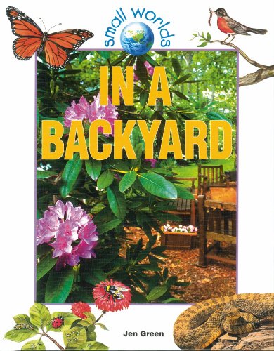 Cover for Jen Green · In a Backyard (Small Worlds) (Hardcover Book) (2001)