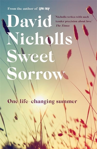 Sweet Sorrow: The Sunday Times bestselling novel from the author of ONE DAY - David Nicholls - Kirjat - Hodder & Stoughton - 9781444715415 - torstai 11. heinäkuuta 2019