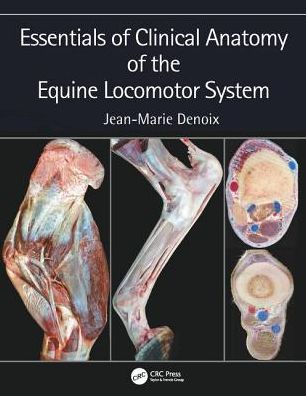 Cover for Denoix, Jean-Marie (CIRALE-Hippolia, Goustranville, France) · Essentials of Clinical Anatomy of the Equine Locomotor System (Inbunden Bok) (2019)