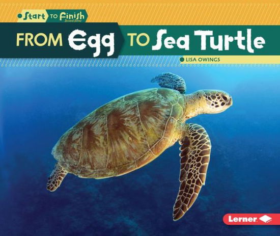 From Egg to Sea Turtle - Lisa Owings - Książki - LernerClassroom - 9781512418415 - 1 sierpnia 2016