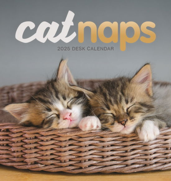 Cat Naps Easel Desk Calendar 2025 - Carousel Calendars - Books - Carousel Calendars - 9781529843415 - August 23, 2024