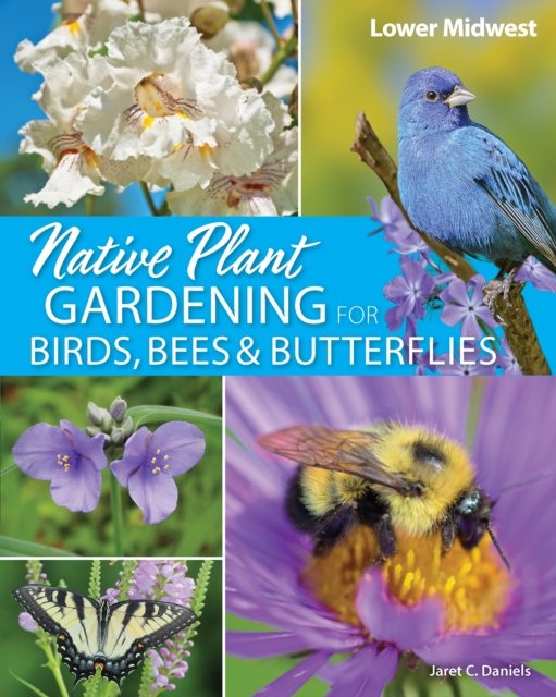 Cover for Jaret C. Daniels · Native Plant Gardening for Birds, Bees &amp; Butterflies: Lower Midwest - Nature-Friendly Gardens (Pocketbok) (2024)