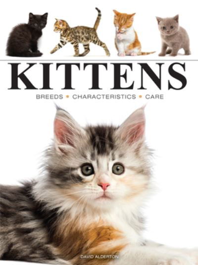 Kittens - Mini Animals - David Alderton - Kirjat - Amber Books Ltd - 9781838864415 - keskiviikko 14. elokuuta 2024