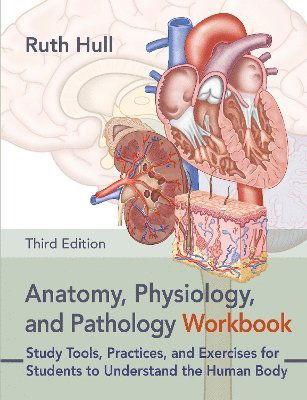 Cover for Ruth Hull · Anatomy, Physiology, and Pathology Workbook: Study Tools, Practices, and Exercises for Students to Understand the Human Body (Paperback Book) (2024)